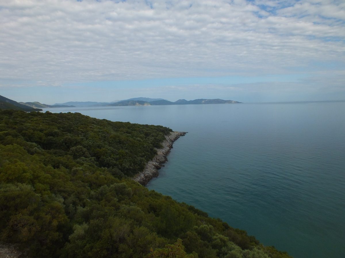 The wooded headland of the Dilek Peninsula running into a calm gray-blue sea, with the long mountainous outline of Samos on the horizon