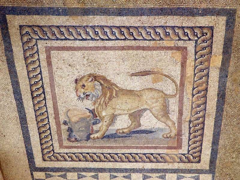 A lion mosaic in the Terrace Houses of Ephesus